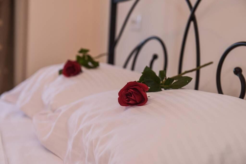 Dr Vasi Holidays House Agios Nikolaos  Bagian luar foto